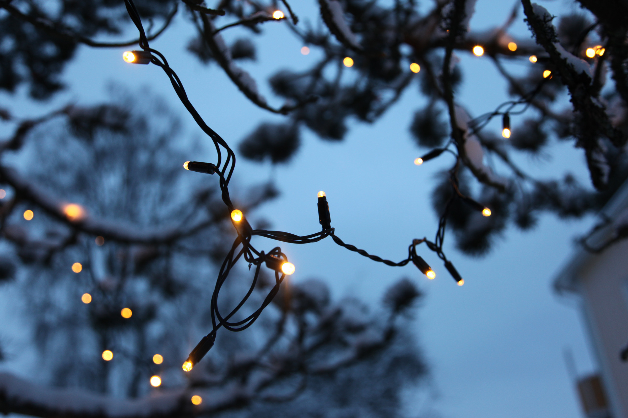 System 24 Extra, Lichterkette, 1000cm