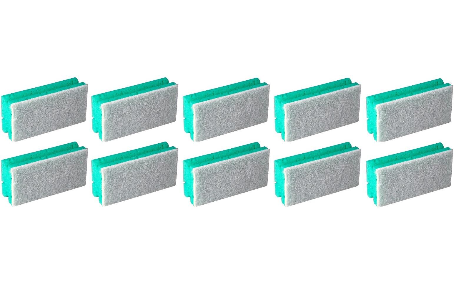 Edi Baur Schwamm Profi 10 Stück, Grün/Weiss