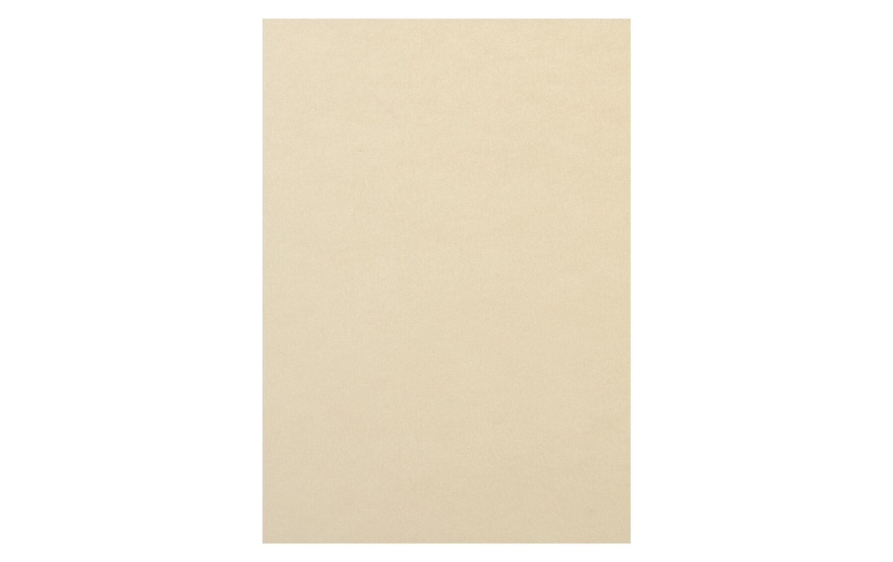 Rainbow Papier FSC A4 hellchamois, 120g 250 Blatt PAPYRUS 88043095