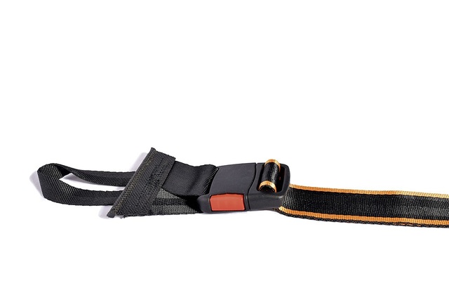 Sturmleine RATHGEBER STURMLEIN 2er Set für Markisen bis 4,75 m und Sonnensegel/ Vorzelte mit 2 Zeltstabspitzen