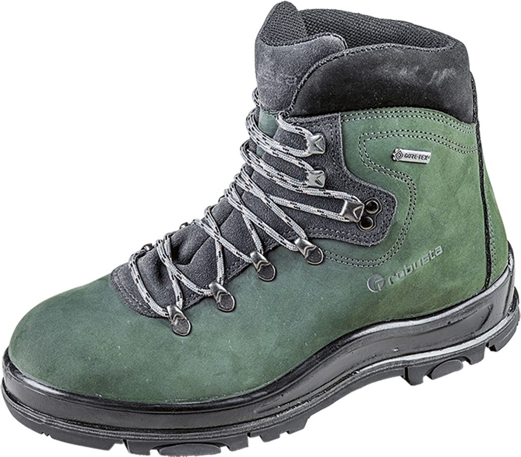 Berufs- und Wanderschuh ROBUSTA GTX CASTOR O2