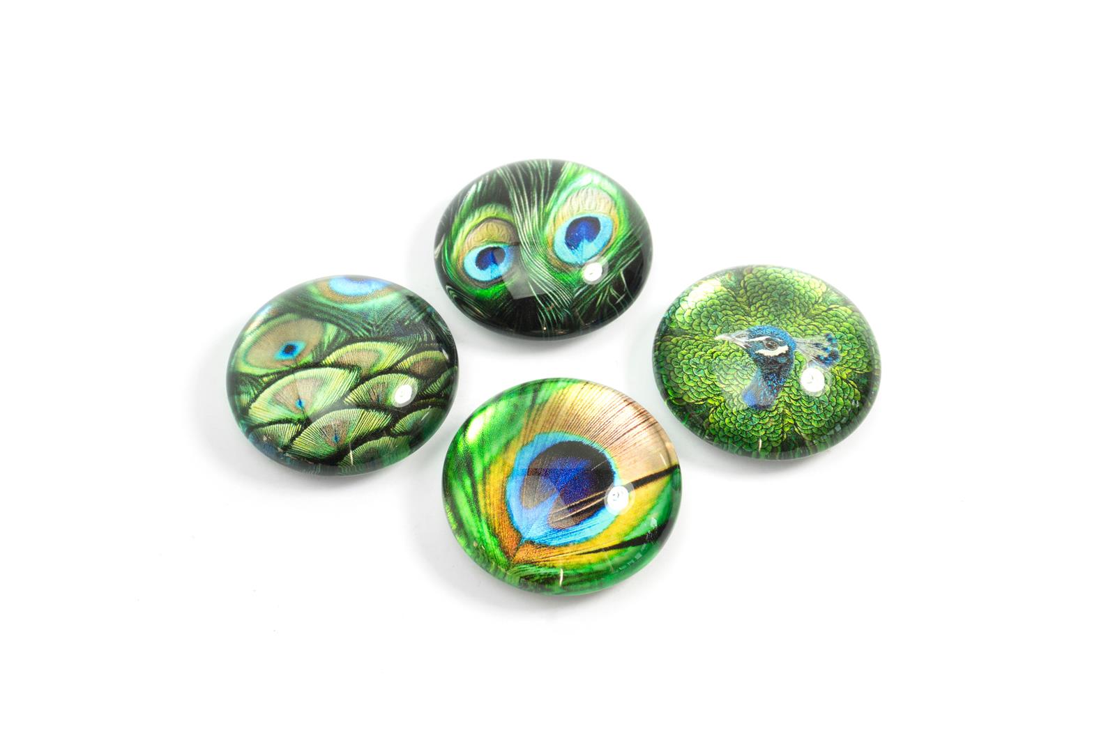 EYE Magnete PEACOCK 4er Set TRENDFORM EY2020