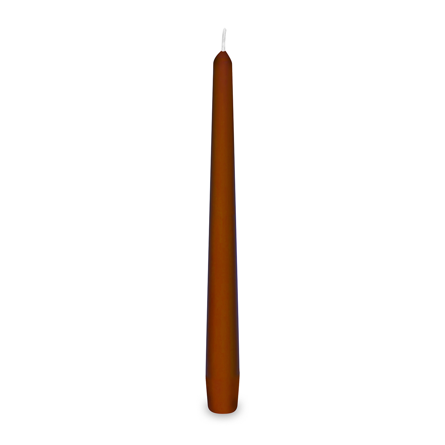 31121