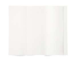 Faltpapier Alpinex® Z-Falz 2-lagig 100% Zellstoff H2 20,6x24cm