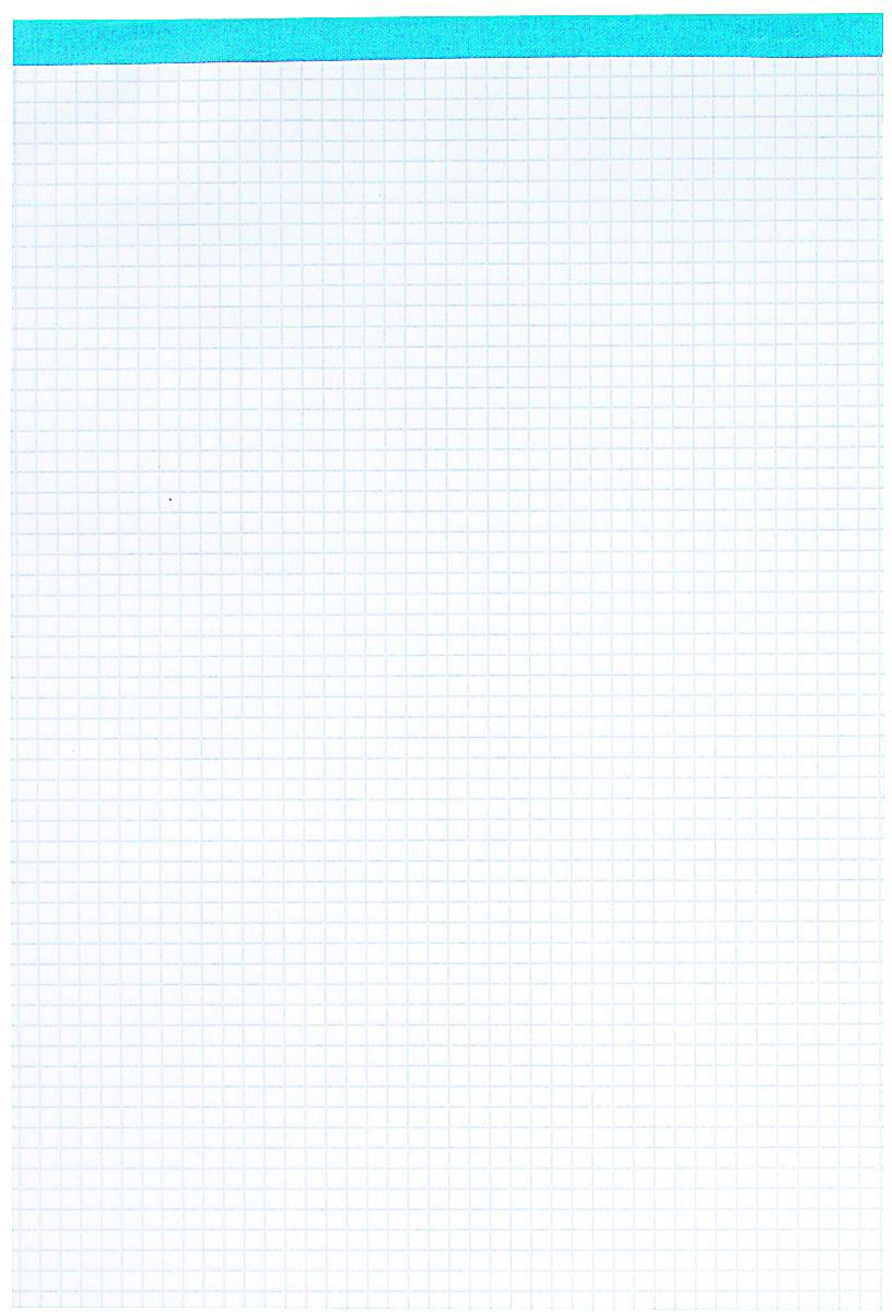 Notizblock Office A4 kariert, 65g 100 Blatt ELCO 73411.18