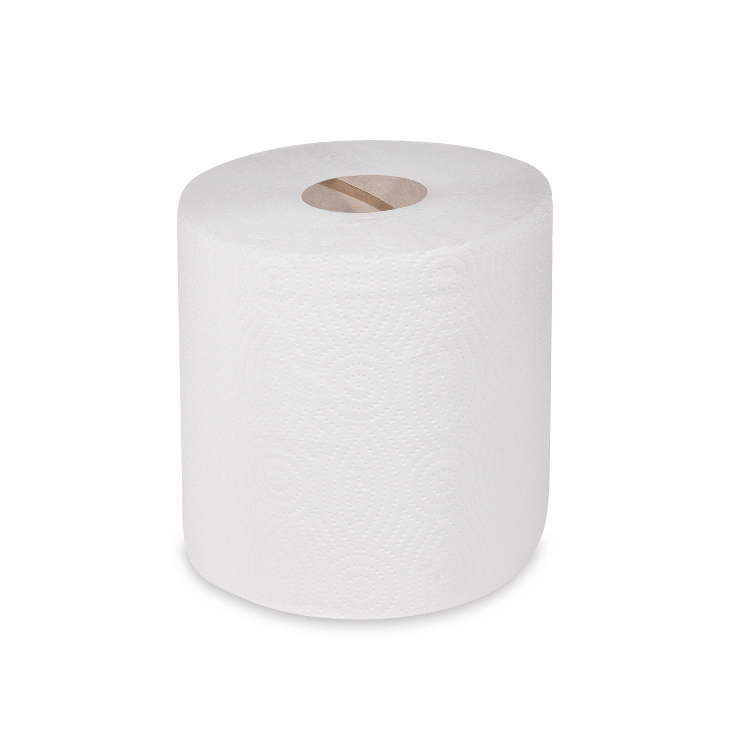Küchenrolle PAP FSC Mix 2-lagig weiss XXL Ø 19 cm 100 m, Packung mit 445 Blatt