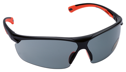 Schutzbrille MSA MOVE