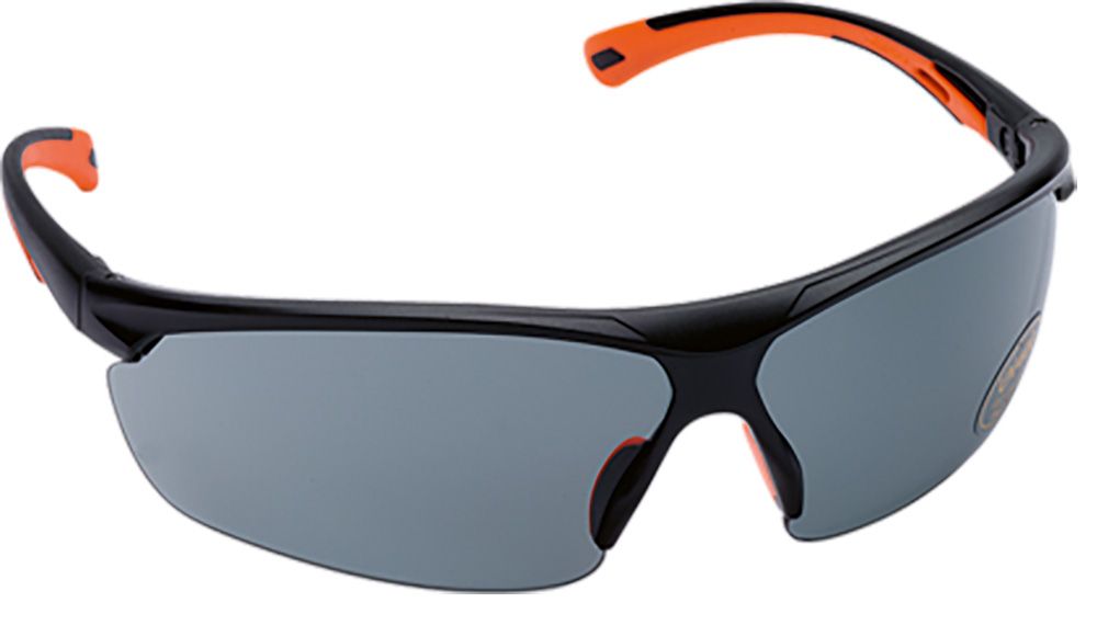 Schutzbrillen MSA MOVE EN 166, CE