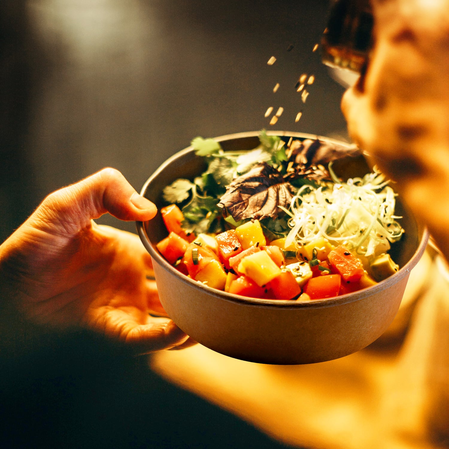 Salatschale (PAP,PE) kraft 185mm 1300ml - 50 Stück