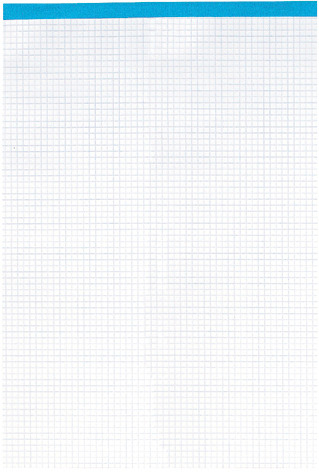 Notizblock Office A4 kariert, 65g 100 Blatt ELCO 73411.17