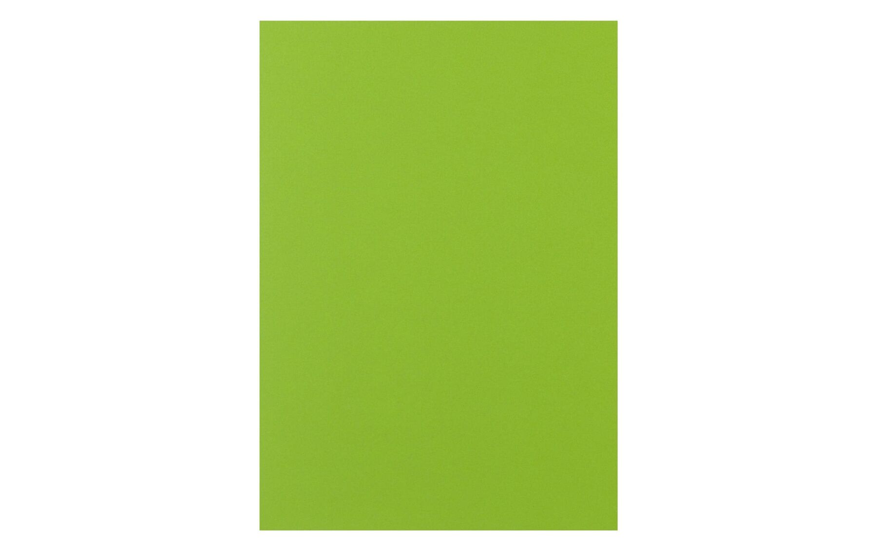 Rainbow Papier FSC A4 leuchtend grün, 160g 250 Blatt PAPYRUS 88043138